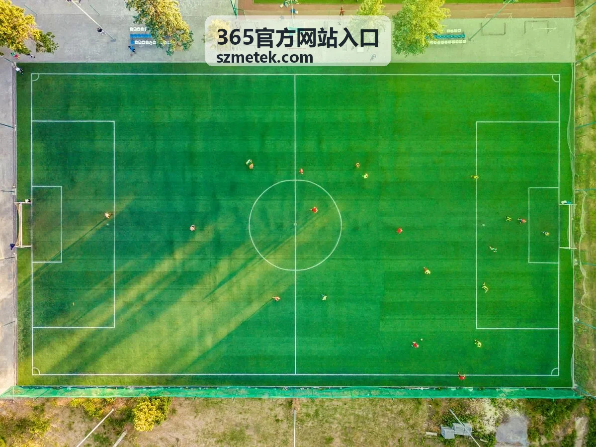 365官方网站入口安装前系统检查示意